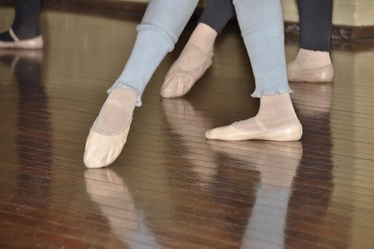 Capezio ou Bloch : comment choisir pour l&rsquo;entraînement